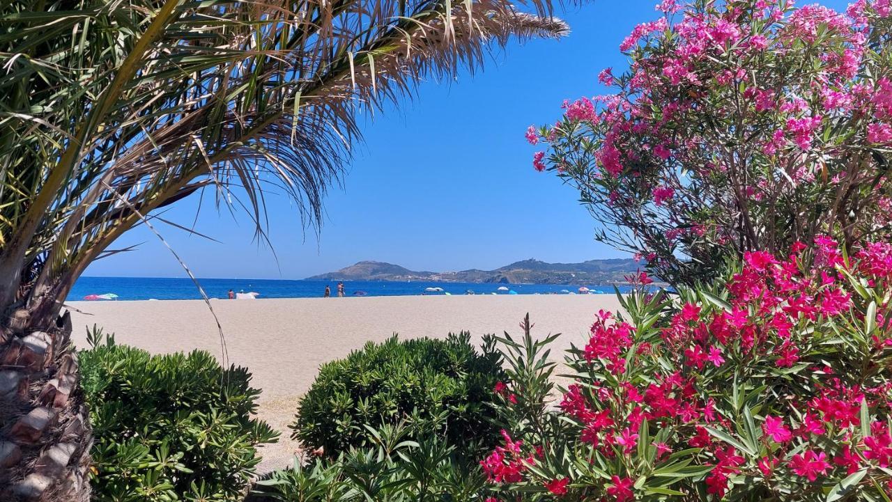 Sur La Plage, Super Studio Avec Vue Sur La Mer Plage dʼArgelès 외부 사진
